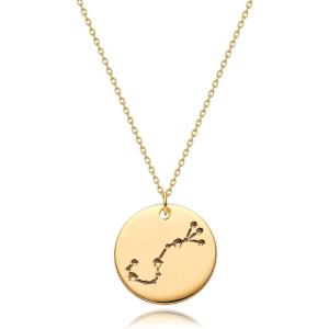 image:imageMEVECCO Gold Necklace Coin Disc Zodiac 12 Constellation Star Connected Engraved Horoscope Sign Astrology Pendant 18K Gold Plated Chain Dainty Personalized Simple JewelryConnected Scorpio
