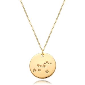 image:imageMEVECCO Gold Necklace Coin Disc Zodiac 12 Constellation Star Connected Engraved Horoscope Sign Astrology Pendant 18K Gold Plated Chain Dainty Personalized Simple JewelryLeo