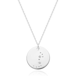 image:imageMEVECCO Gold Necklace Coin Disc Zodiac 12 Constellation Star Connected Engraved Horoscope Sign Astrology Pendant 18K Gold Plated Chain Dainty Personalized Simple JewelryScorpio silver