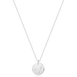 image:imageMEVECCO Gold Necklace Coin Disc Zodiac 12 Constellation Star Connected Engraved Horoscope Sign Astrology Pendant 18K Gold Plated Chain Dainty Personalized Simple JewelryCapricorn silver