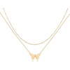 Layered Butterfly GD